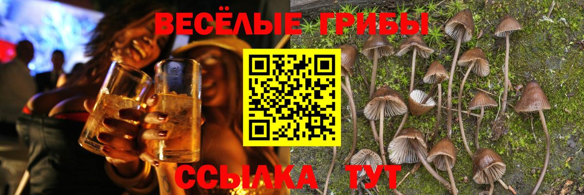 Псилоцибиновые грибы прущие грибы Тольятти
